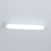 Modern Oval Ceiling Light