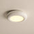 Modern Oval Ceiling Light
