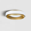 Nolan Ceiling Light