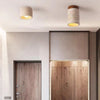flush-mounted-ceiling-lamp-loanword