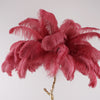 Ostrich Feather Floor Lamp