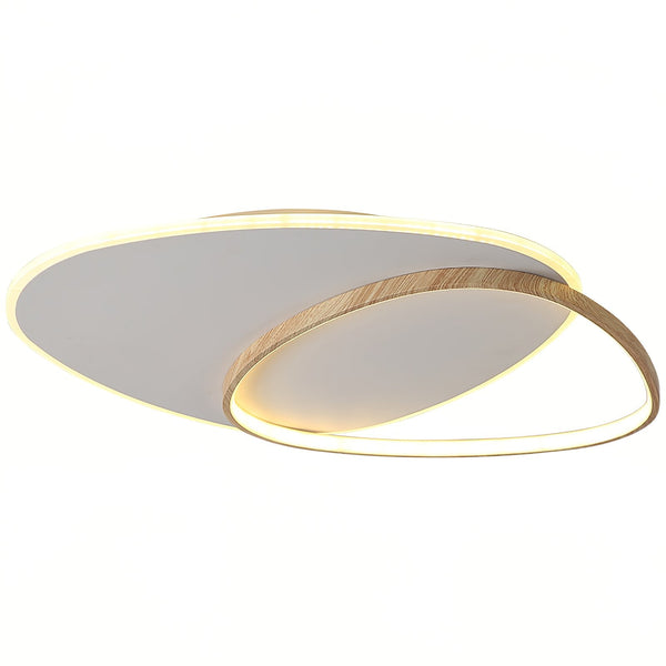 Oval Simple LED Ceiling Light
