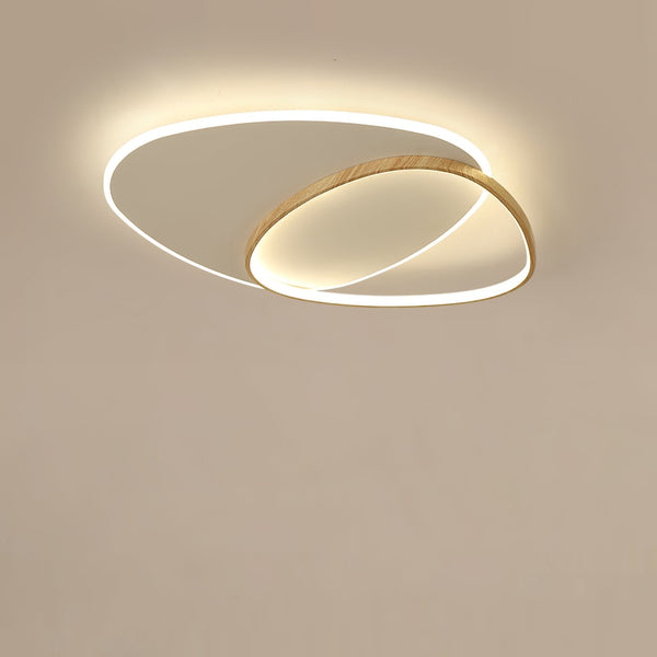 Oval Simple LED Ceiling Light
