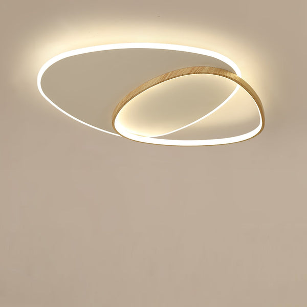 Oval Simple LED Ceiling Light
