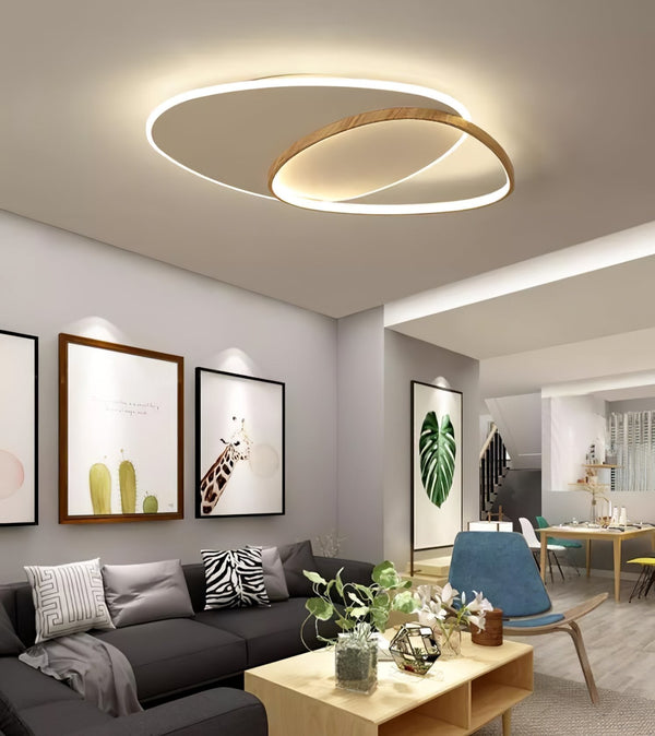 Oval Simple LED Ceiling Light
