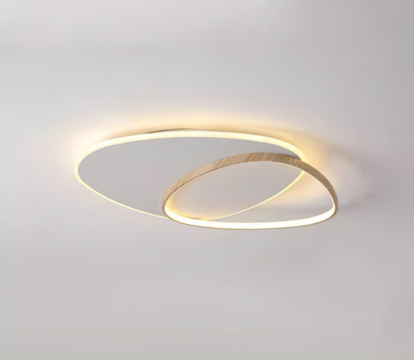 Oval Simple LED Ceiling Light