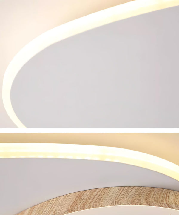 Oval Simple LED Ceiling Light