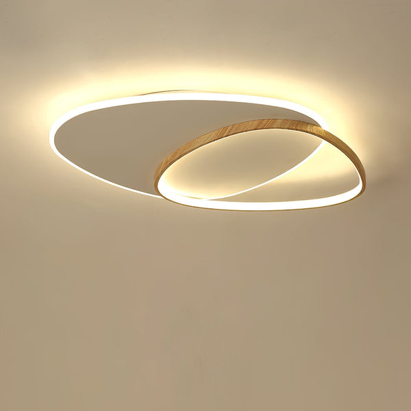 Oval Simple LED Ceiling Light