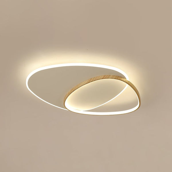 Oval Simple LED Ceiling Light