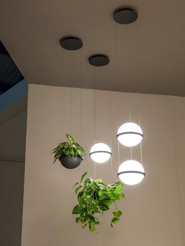 palma-pendant-lamp