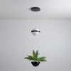 palma-pendant-lamp