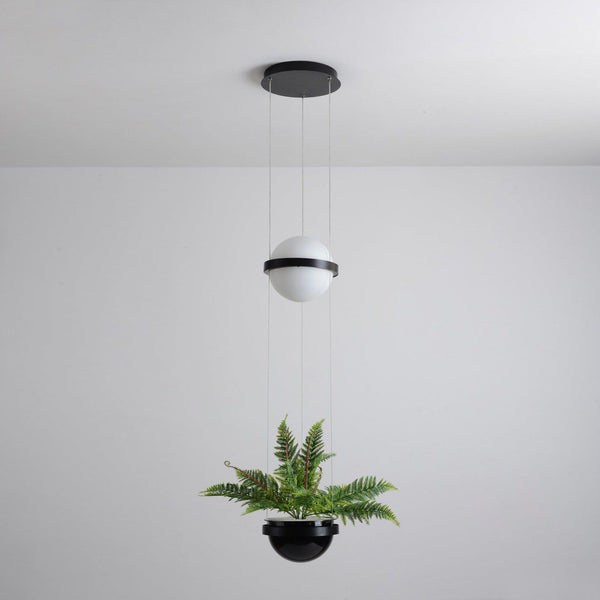 palma-pendant-lamp