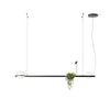 palma-pendant-lamp