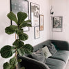 parentesi-pendant-light