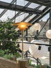 Patera Pendant Light