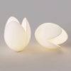 Pistachio Pendant Lamp