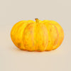 Portable Pumpkin Built In Battery Table Lamp