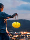 Portable Pumpkin Built In Battery Table Lamp