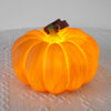 Portable Pumpkin Built In Battery Table Lamp