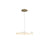 Ring Nodes Pendant Lamp