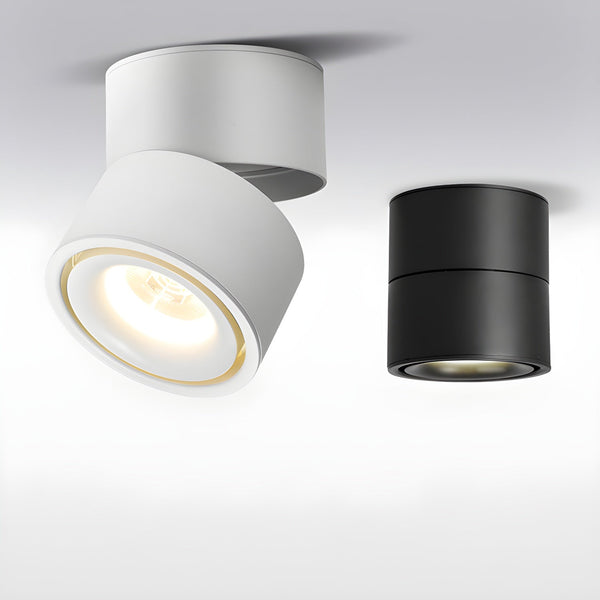 Rotatable Spotlight Ceiling Light