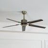 Rozzen Ceiling Fan
