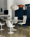 shell-chandelier