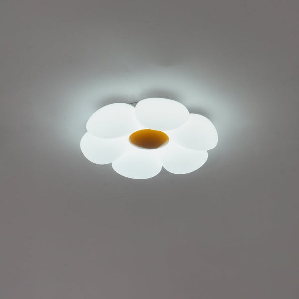 Six Leaf Flower Kids Room Ceiling Lamp