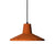 Skeleton Pendant Light