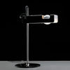 Spider Table Lamp