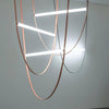Tracer Belt Pendant Lamp
