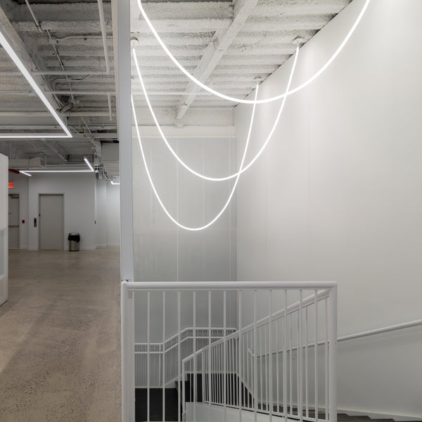 Flexible Curve Line Pendant Lamp