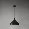 Vintage Industrial Collections Pendant Light