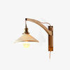 Walnut Swing Arm Wall Lamp