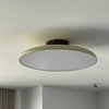 zayn-ceiling-lamp