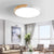 Lighting Ceiling Lights Flush Mount Lighting_4Jax4