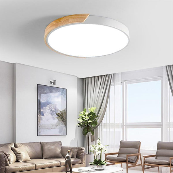 Lighting Ceiling Lights Flush Mount Lighting_4Jax4