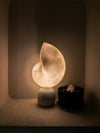 alabaster brass shell table lamp