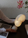 alabaster brass shell table lamp