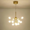 Lighting Ceiling Lights Chandeliers_4T98Q
