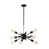 Lighting Ceiling Lights Chandeliers_4Nwd4