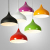 9 Inch Led Halogen Incandescent Metal Dome Bowl 1 Light Pendant Downlight Lighting