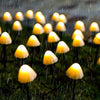 Outdoor Mini Mushroom Rgb Solar 16 40 Ft String Lights