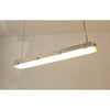 industrial black clear glass linear led pendant light