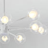 Lighting Ceiling Lights Chandeliers_4316J
