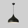 9 Inch Led Halogen Incandescent Metal Dome Bowl 1 Light Pendant Downlight Lighting