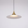 lacquered aluminum arch pendant light
