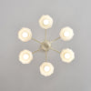 modern beige glass scalloped chandelier