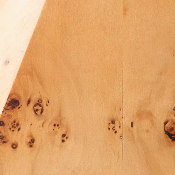 modern burl wood organic table lamp