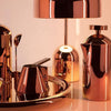 modern gold acrylic dome table lamp